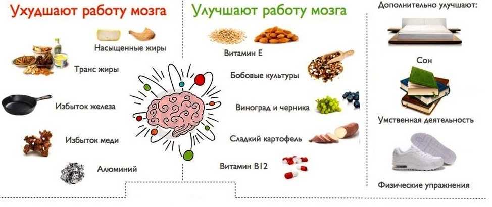 Продукты, улучшающие и ухудшающие работу мозга