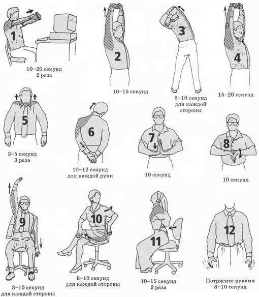 Упражнения для мышц на сидячей работе